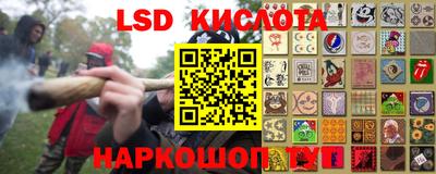 гидропоника Можга