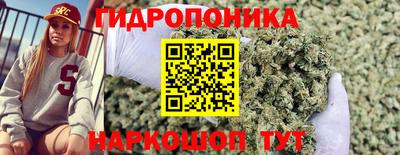 гидропоника Можга