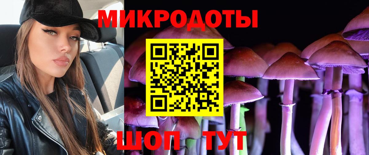 Псилоцибиновые грибы прущие грибы Урай